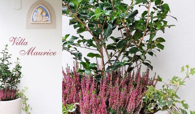 Residence Villa Maurice Stresa Bagian luar foto